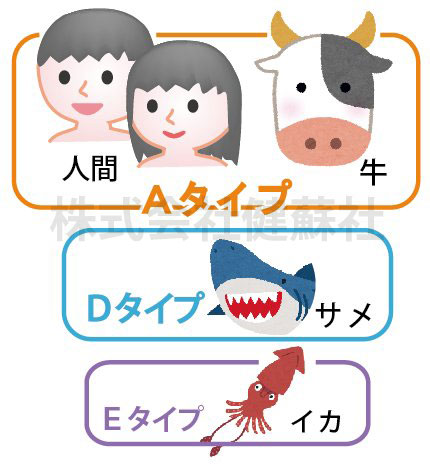 コンドロイチンのタイプ